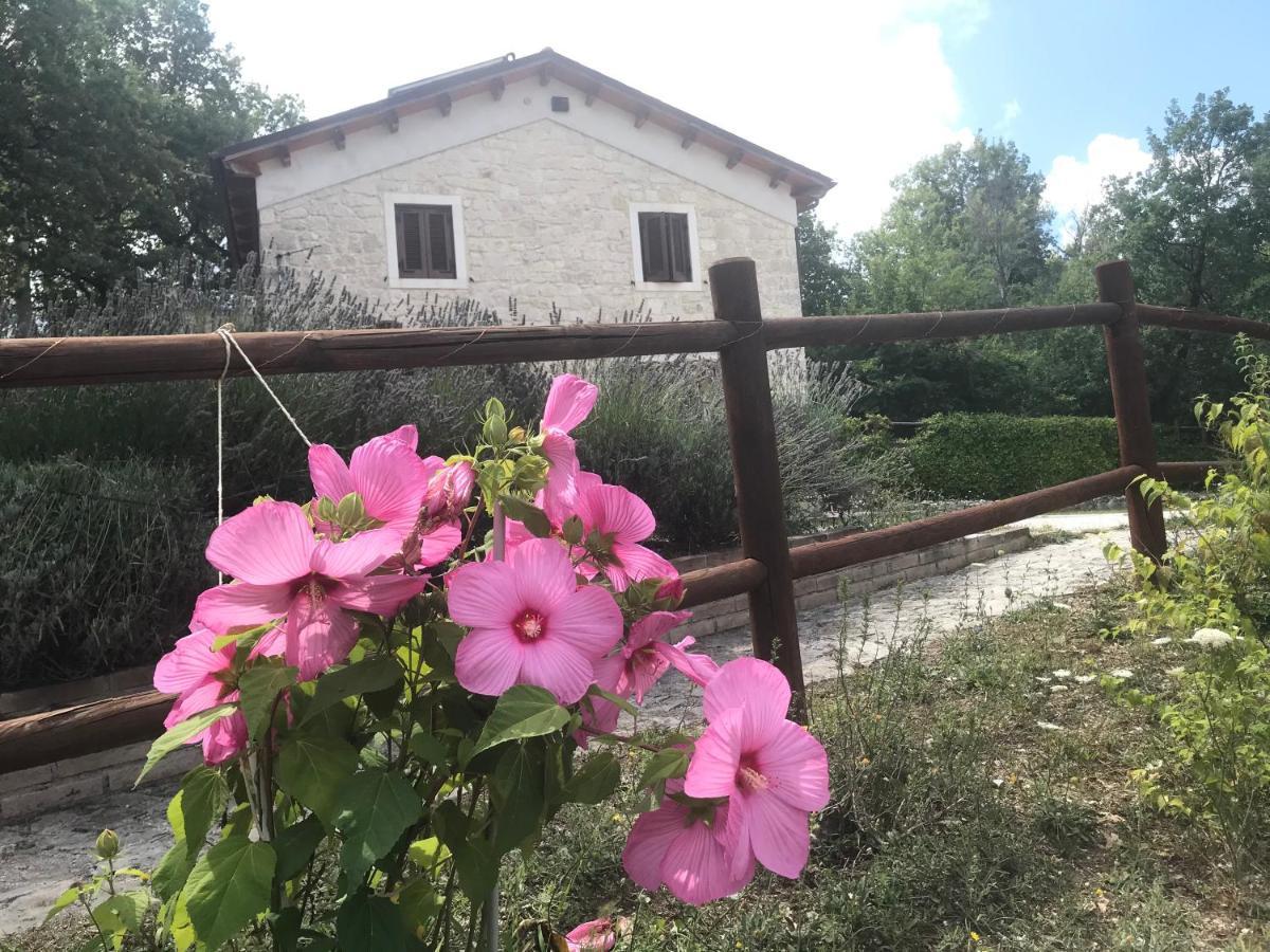 Country House Antiche Dimore Bed & Breakfast Abbateggio Exterior photo