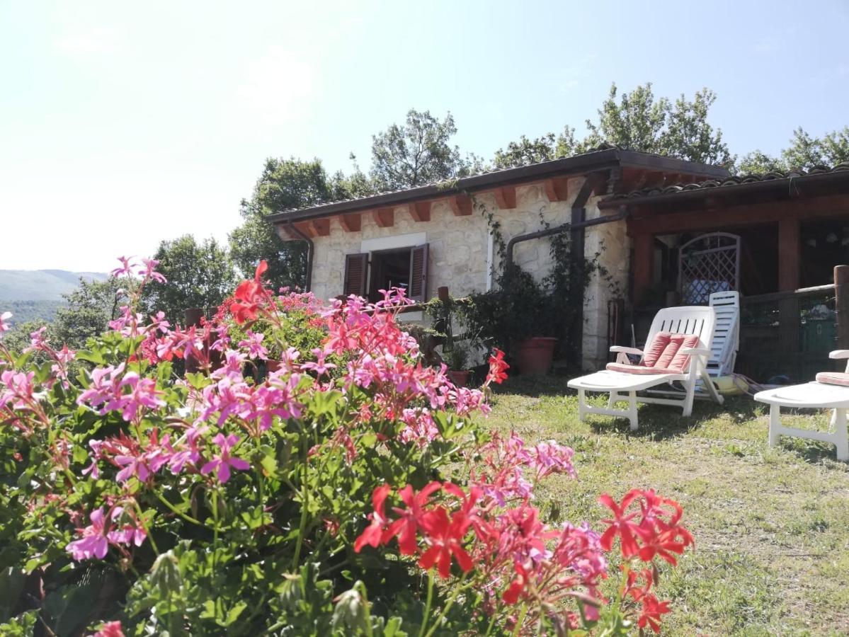 Country House Antiche Dimore Bed & Breakfast Abbateggio Exterior photo