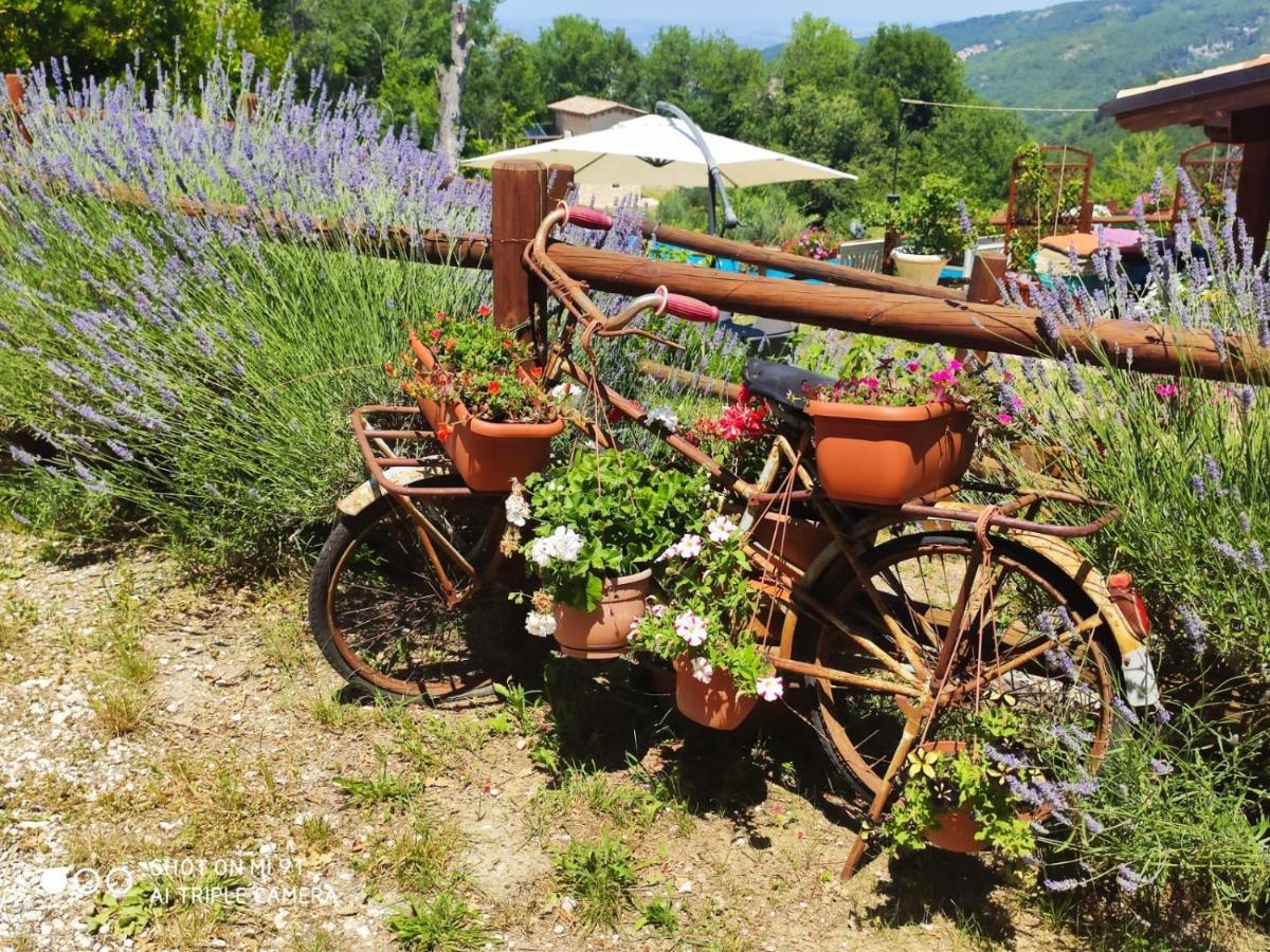 Country House Antiche Dimore Bed & Breakfast Abbateggio Exterior photo